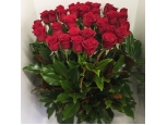 Truly Impressive - 36 Stems In Bouquet